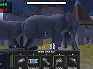 Zoo Anomaly Simulation Management Online Game