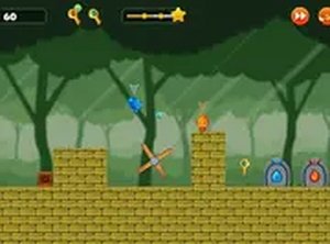 Fire Hero And Water Princess Puzzle Game