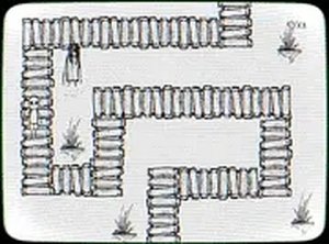 Beneath the Branches Adventure Game