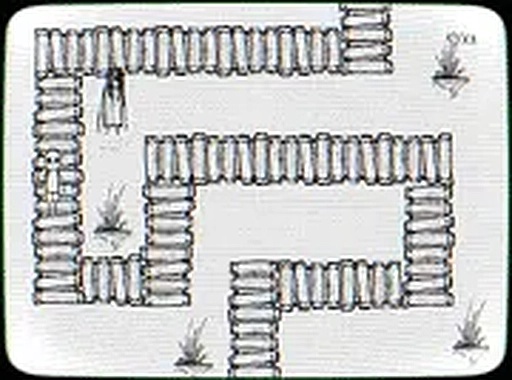 Beneath the Branches Online Adventure Game