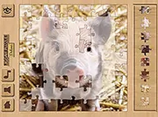 Picture Puzzle Assembly Room