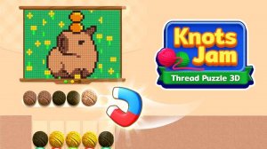 String Weaver: 3D Logic Puzzle